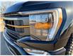 2023 Ford F-150 Tremor (Stk: 25349A) in Melfort - Image 20 of 22