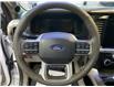 2025 Ford F-150 Platinum (Stk: 25454) in Melfort - Image 17 of 23