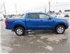 2019 Ford Ranger XLT (Stk: 25504A) in Peterborough - Image 7 of 20