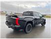 2025 Toyota Tundra Hybrid Limited (Stk: X112601) in Cranbrook - Image 5 of 22