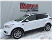 2019 Ford Escape SEL (Stk: 2738) in Hawkesbury - Image 1 of 19