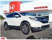 2019 Honda CR-V EX-L (Stk: PS0990) in Saint John - Image 7 of 28
