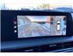 2024 Kia Telluride X-Line (Stk: 24B2500) in Sherwood Park - Image 19 of 30