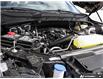 2025 Ford F-150 STX (Stk: 25F11489) in St. Catharines - Image 6 of 25