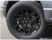 2025 Ford F-150 STX (Stk: 25F11489) in St. Catharines - Image 8 of 25
