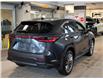 2026 Lexus NX 350 Base (Stk: 6953) in Kingston - Image 7 of 15