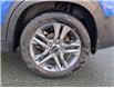 2023 Kia Seltos EX (Stk: M25990) in St. John's - Image 8 of 19 2023 Kia Seltos EX (Stk: M25990) in St. John's - Image 8 of 19