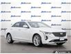 2023 Cadillac CT4 Luxury (Stk: 42322) in Georgetown - Image 7 of 28