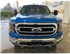 2021 Ford F-150 XLT (Stk: P00456) in Port Alberni - Image 2 of 18