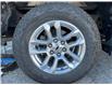 2023 Chevrolet Silverado 1500 RST (Stk: 251467) in Ottawa - Image 25 of 25