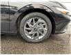 2024 Hyundai Elantra  (Stk: 251670) in Ottawa - Image 21 of 21