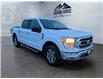 2023 Ford F-150  (Stk: 15264) in Golden - Image 3 of 17