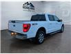 2023 Ford F-150  (Stk: 15264) in Golden - Image 5 of 17