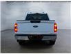 2023 Ford F-150  (Stk: 15264) in Golden - Image 6 of 17