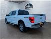 2023 Ford F-150  (Stk: 15264) in Golden - Image 7 of 17
