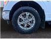 2023 Ford F-150  (Stk: 15264) in Golden - Image 16 of 17