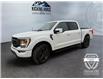 2023 Ford F-150  (Stk: 15258) in Golden - Image 1 of 17