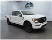 2023 Ford F-150  (Stk: 15258) in Golden - Image 3 of 17