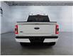 2023 Ford F-150  (Stk: 15258) in Golden - Image 6 of 17