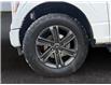 2023 Ford F-150  (Stk: 15258) in Golden - Image 16 of 17