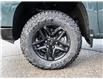 2026 Chevrolet Silverado 1500 Custom Trail Boss (Stk: 263234) in Uxbridge - Image 23 of 24