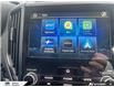 2024 Subaru Forester Wilderness (Stk: 6026Y) in Tecumseh - Image 25 of 26