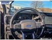 2023 Ford F-250 Lariat (Stk: P9352L) in Dartmouth - Image 12 of 24
