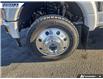 2026 Ford F-450 King Ranch (Stk: 28102) in Dartmouth - Image 6 of 24