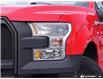 2015 Ford F-150 XL (Stk: 6-25FT0825B) in Whitby - Image 11 of 29