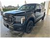 2025 Ford F-150 Lariat (Stk: 25365) in Port Alberni - Image 8 of 26
