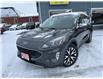 2020 Ford Escape SEL (Stk: 45847) in Belmont - Image 2 of 22