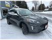 2020 Ford Escape SEL (Stk: 45847) in Belmont - Image 4 of 22