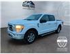 2023 Ford F-150  (Stk: 15264) in Golden - Image 1 of 17