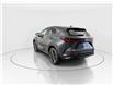 2026 Lexus NX 350h  (Stk: 14111730) in Markham - Image 5 of 20