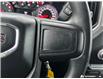 2020 GMC Sierra 1500 Base (Stk: P202143) in Grimsby - Image 17 of 25