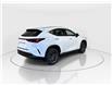 2026 Lexus NX 350 Base (Stk: 15105416) in Richmond Hill - Image 9 of 20