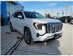 2026 GMC Terrain Denali (Stk: L341339) in Newmarket - Image 3 of 20