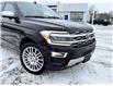 2024 Ford Expedition Max Platinum (Stk: DU8248T) in Ottawa - Image 3 of 17