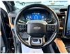 2024 Ford Expedition Max Platinum (Stk: DU8248T) in Ottawa - Image 14 of 17