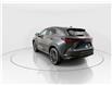 2026 Lexus NX 350h  (Stk: 15105386) in Richmond Hill - Image 5 of 21