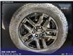 2025 Chevrolet Silverado 1500 LT Trail Boss (Stk: 26HD5756A) in Unity - Image 17 of 17