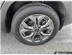 2025 Kia Seltos EX (Stk: P258087) in Grimsby - Image 7 of 26