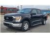 2021 Ford F-150 XLT (Stk: N106532A) in Saint John - Image 1 of 13