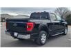 2021 Ford F-150 XLT (Stk: N106532A) in Saint John - Image 6 of 13