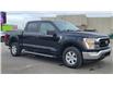 2021 Ford F-150 XLT (Stk: N106532A) in Saint John - Image 9 of 13