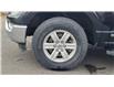 2021 Ford F-150 XLT (Stk: N106532A) in Saint John - Image 11 of 13