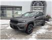 2025 Jeep Grand Cherokee Limited (Stk: H23040) in Newmarket - Image 3 of 14