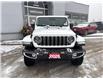 2026 Jeep Wrangler Sahara (Stk: W22981) in Newmarket - Image 2 of 14