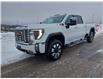2025 GMC Sierra 2500HD Denali (Stk: 25946) in Haliburton - Image 3 of 15
