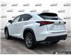 2019 Lexus NX 300 Base (Stk: J0H2714) in Hamilton - Image 4 of 21